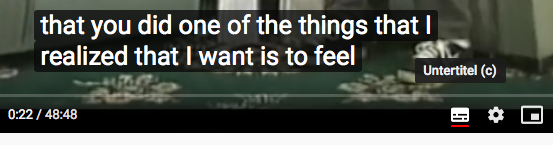 Youtube-Übersetzung-2