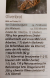 Brotretzept 1