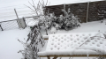 Winter 2019