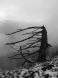 Wendelstein 7