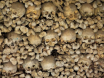 yorick