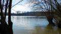 rhein1