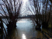 rhein2