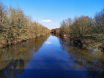 nidda