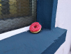 donut