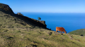 Impressionen Madeira